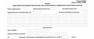 6 personal income tax