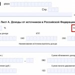 C:\Users\Vova\Desktop\BUKHGURU\February 2018\WEB 118 Income type code 020 in the 3-NDFL declaration\stroka-020-3-ndfl.png
