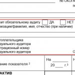 C:\Users\Вова\Desktop\БУХГУРУ\ноябрь 2019\ВЕБ Бухгалтерская отчётнось 2020 изменения\otmetka-audit-buhotchetnost'-2020.png