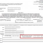 C:UsersВоваDesktopБУХГУРУфевраль 201833 Шифр страхователя в ФСС в 2018 году ВЕБstaraya-4-FSS-shifr-strahovatelya.png