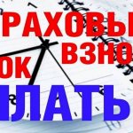 What is an insurance premium - calculation of insurance premiums where to pay and how much