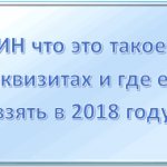 What is UIN when paying state duty?