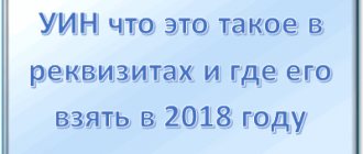 Что такое уин при оплате госпошлины