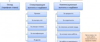 Что входит в МРОТ - какие выплаты и доплаты