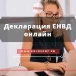 Declaration of UTII online