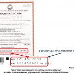 Declaration according to the simplified tax system