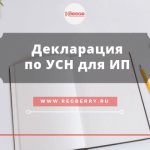 Декларация УСН для ИП
