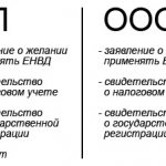 Documents for individual entrepreneurs and LLCs for the transition to UTII