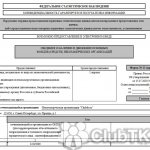Form 11 (short) for 2020