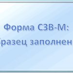 Form SZV-M: sample filling in 2019