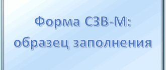 Форма СЗВ-М: образец заполнения в 2019 году