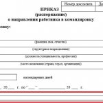 Форма Т-9 с указанием цели командировки