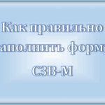 Form SZV-M: who provides it, when, how to fill it out correctly