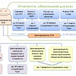 Annual reporting, mandatory for LLCs and individual entrepreneurs working under the simplified tax system
