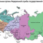 Как узнать номер ТОГС