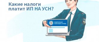 Какие налоги платит ИП на УСН