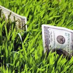 Taxes on dachas, houses and cottages. How much should the owner pay? 