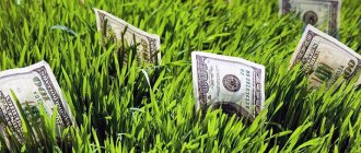 Taxes on dachas, houses and cottages. How much should the owner pay?