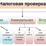 several types of tax audits