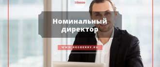 Номинальный директор