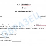 Sample order for appointment to the position of Director of LLC