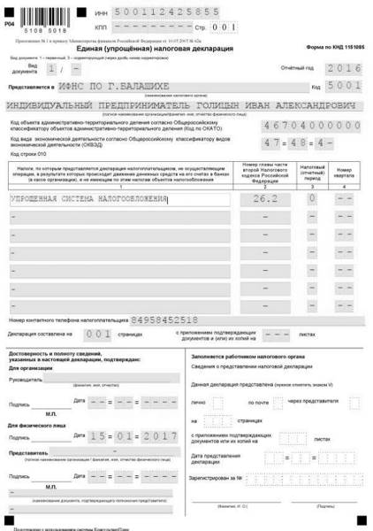 Образец заполнения ЕУД по УСН за 2021 год
