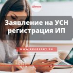 Образец заявления на УСН при регистрации ИП бланк 2020 года