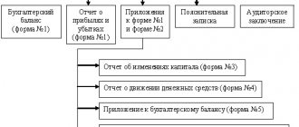 mandatory forms of annual financial statements