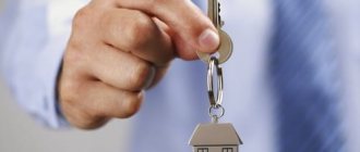 OKVED real estate services