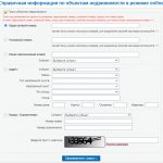 Online application in Rosreestr