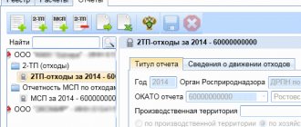 Отчеты