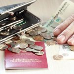 Отчисления из заработной платы в ПФР — какие страховые взносы платят граждане