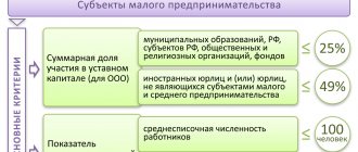 Отличительные черты действующего бухгалтерского баланса