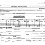 Signature of the chief accountant