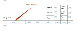 Поле для КБК в 2017 году
