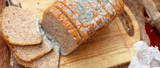 Порча продуктов