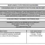 Порядок и образец заполнения формы 5-З (нюансы)