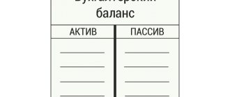 Правила заполнения бухгалтерского баланса ИП