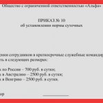Приказ о суточных в командировке