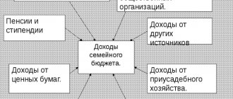 расчет доходов семьи