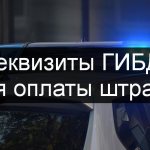 traffic police details for paying a fine