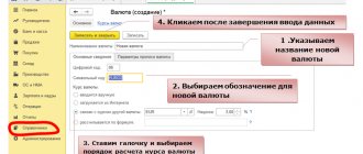 Invoice in foreign currency - how to issue?