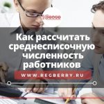 Average number of employees