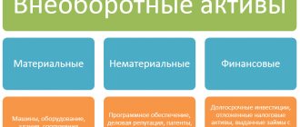 структура внеобротных активов
