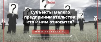Субъект малого и среднего предпринимательства