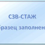 СЗВ-СТАЖ: кто должен сдавать, в какие сроки, образец заполнения