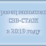 SZV-experience: sample filling in 2019, deadlines and procedure for submission