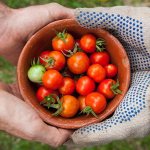 Трудовой договор на сезон