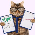 What is the difference between accounting and tax accounting?