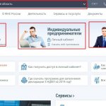 Выбор региона и лица на сайте ФНС